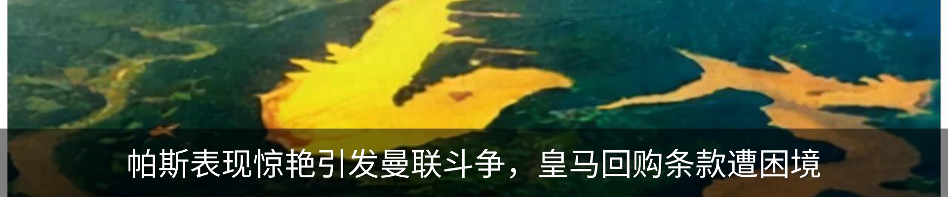 行业资讯